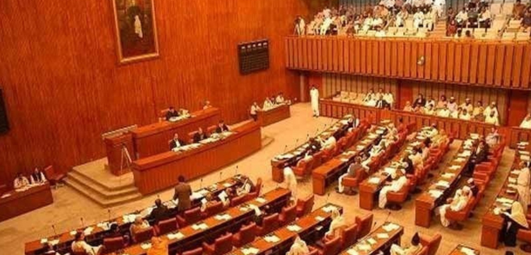 پاک افریقہ یوم دوستی 25 مئی سینیٹ