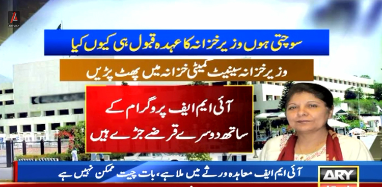 سوچتی ہوں وزیر خزانہ کا عہدہ قبول ہی کیوں کیا، شمشاد اختر  پھٹ پڑیں