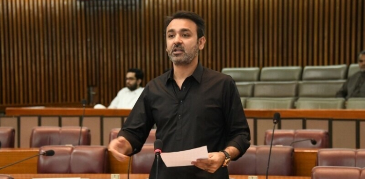 ’ہم ایسے حالات پیدا کرتے جس سے خود ہی جمہوریت کا گھلا گھونٹ دیتے ہیں‘