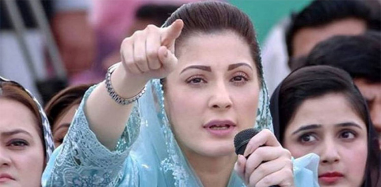 نواز شریف قوم کو مہنگائی، لاقانونیت سے نجات دلانے آرہا ہے، مریم نواز