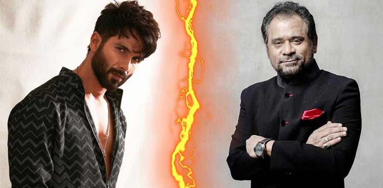 شاہد کپور نے اختلافات کے بعد انیس بزمی کی فلم چھوڑ دی