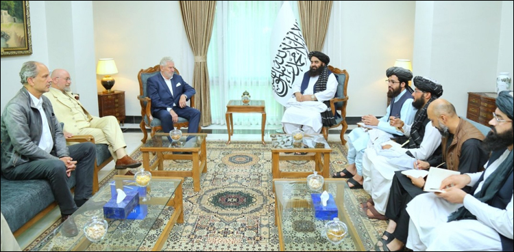 امارت اسلامیہ کو تسلیم نہیں کیا جا رہا اس پر افسوس ہے: آسٹرین سیاست دان