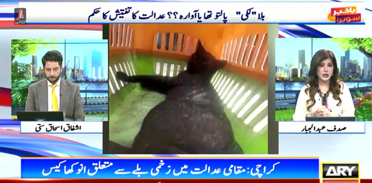کراچی بلا لکی