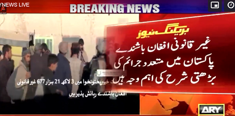 غیر قانونی افغان باشندے پاکستان میں متعدد جرائم کی بڑھتی شرح کی اہم وجہ قرار