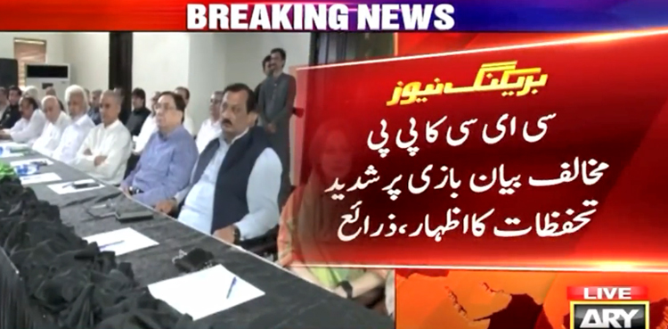 پیپلزپارٹی مرکزی مجلس عاملہ