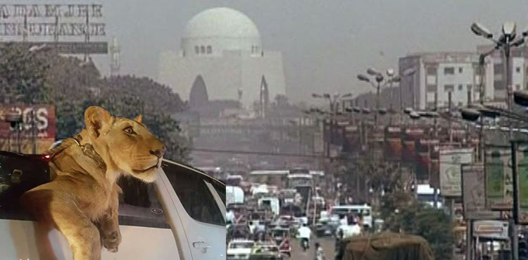 شیر کا سفر نامہ
