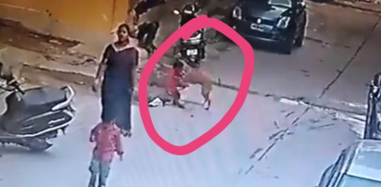 آوارہ کتے کا بچے پر حملہ، ماں نے اپنے لعل کی کیسے جان بچائی: ویڈیو دیکھیں