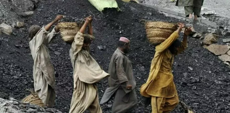 کوئلے