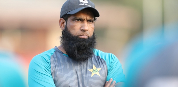 افغانستان کے خلاف شکست: محمد یوسف نے کسے قصور وار ٹھہرایا؟