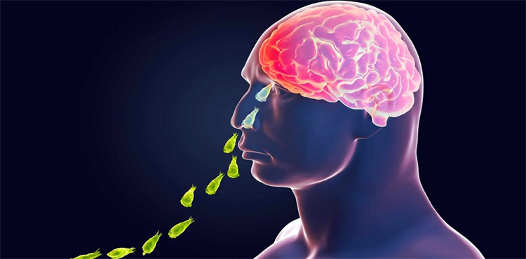 طالبعلم کی نگلیریا سے موت، عوام سے احتیاطی تدابیر اختیار کرنے کی اپیل