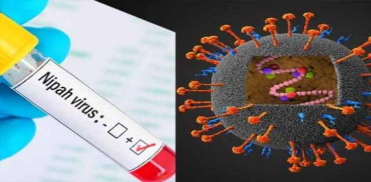 سندھ میں خطرناک وائرس پھیلنے کا خطرہ، الرٹ جاری