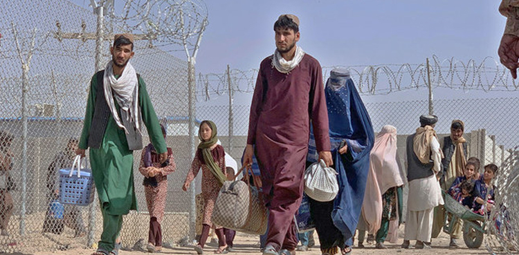 غیر قانونی غیر ملکیوں