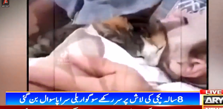 غزہ بچی کی لاش