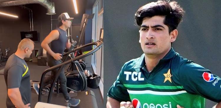 نسیم شاہ