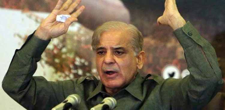 سیاسی انتقام ہار گیا، اب مہنگائی اور معاشی بدحالی کو شکست دینی ہے، شہباز شریف