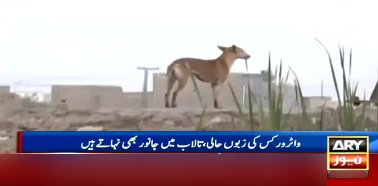 سکھر کا اولڈ واٹر ورکس زبوں حالی کا شکار