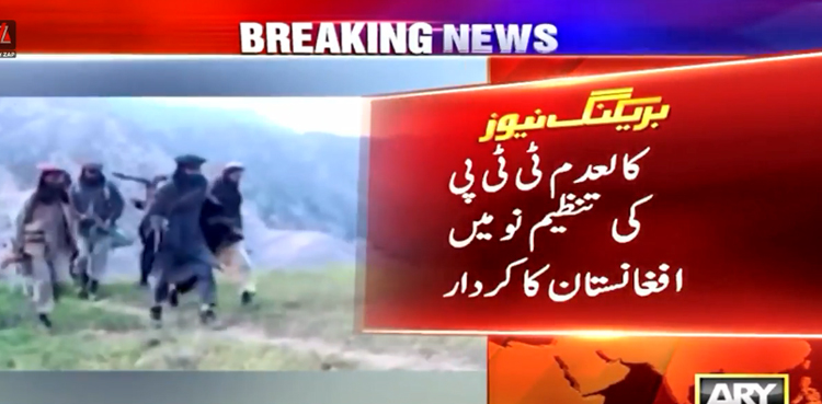 ‘افغانستان پر افغان طالبان کے کنٹرول سے کالعدم ٹی ٹی پی کو سب سے بڑا فائدہ ہوا’