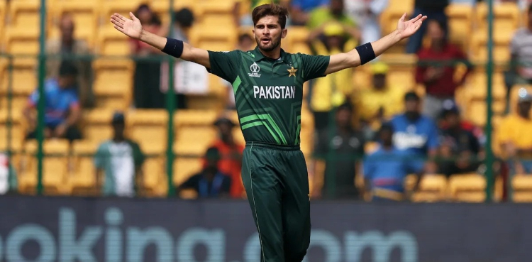شاہین شاہ نے غلطی کا اعتراف کرلیا