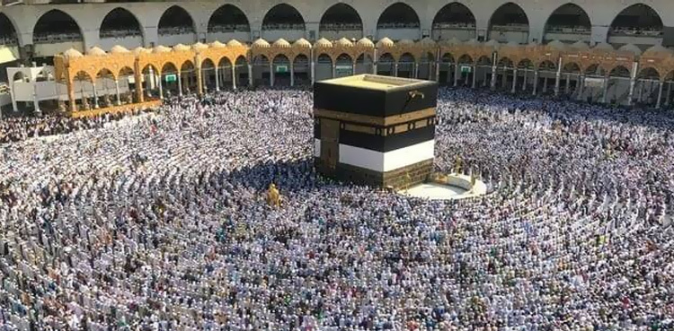 حج پالیسی 2025