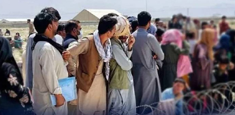 پاکستان چھوڑنے والے غیر قانونی افغان باشندوں کی تعداد 4 لاکھ 84 ہزار 332 تک پہنچ گئی