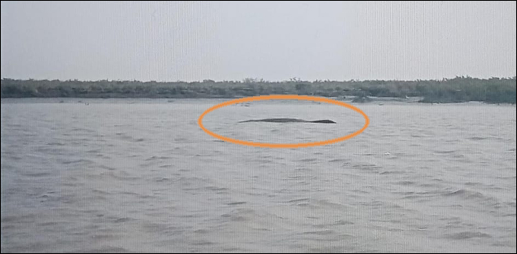 پاک میرینز نے سگھانڈو دریا میں ڈوبتے 4 ماہی گیروں کو بچا لیا
