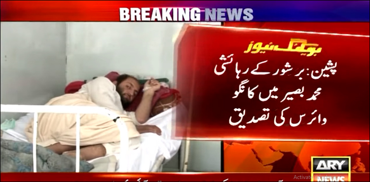 پشین کے رہائشی میں کانگو وائرس کی تصدیق، بھائی اور والد کانگو اور کرونا سے جاں بحق ہوئے