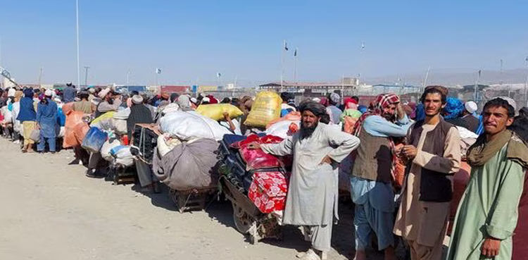 غیرملکیوں اسکیننگ ہیلپ لائن