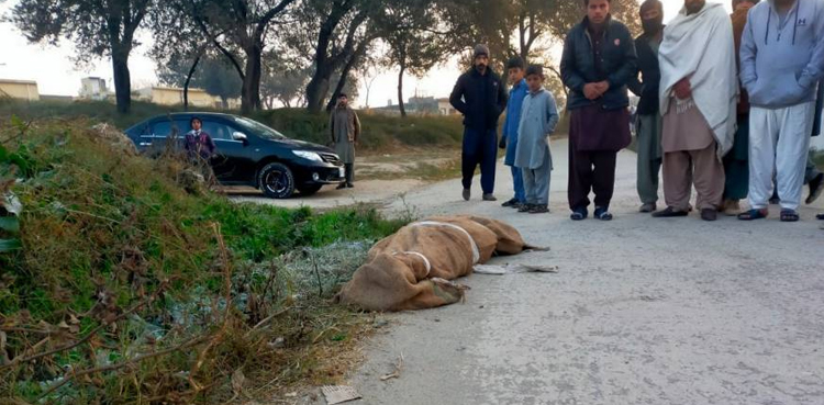 اسلام آباد میں بوری بند لاش ملنے کا واقعہ ، قاتل کون ؟ اہم انکشافات