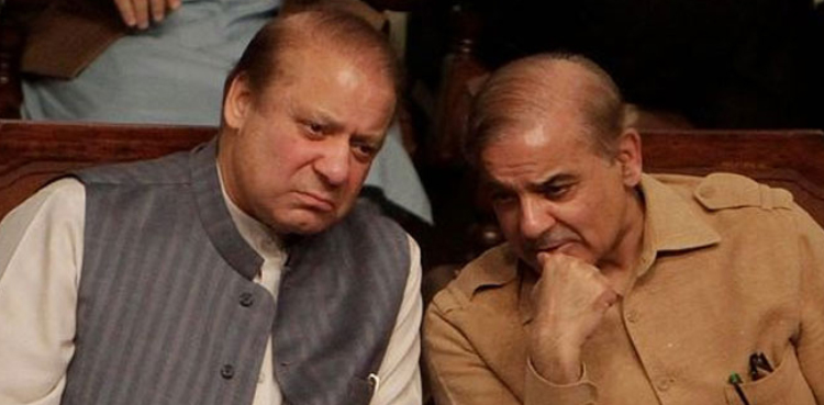 انتخابات کی تاریخ کا اعلان ، نواز شریف کی شہباز شریف سے  اہم ملاقات