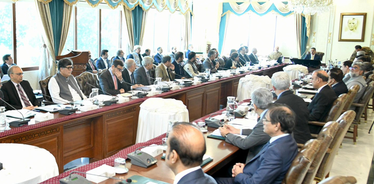 ایس آئی ایف سی کمیٹی کا سرمایہ کاری کے فروغ کیلیے اقدامات پر اطمینان کا اظہار