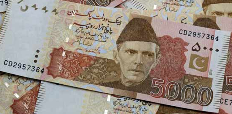 ڈپٹی گورنر اسٹیٹ بینک بھی جعلی نوٹوں کو نہ پہچان سکے
