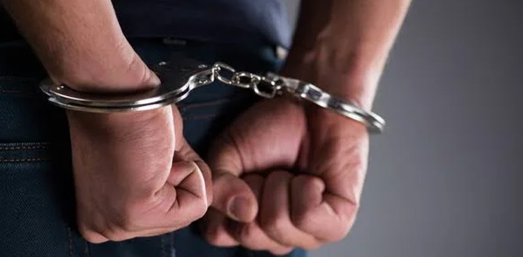 سرکاری افسر کو ٹریلر سے کچل کر ہلاک کرنے والا ڈرائیور گرفتار