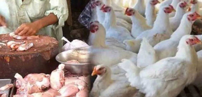 کراچی میں مرغی کے گوشت کی قیمتوں کو ایک بار پھر پر لگ گئے