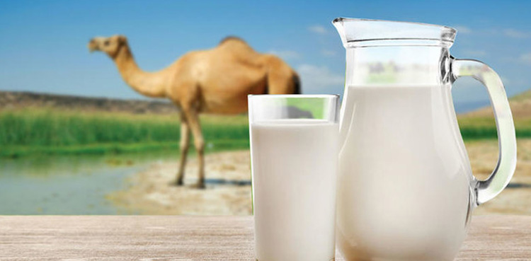 سعودی عرب کے معمر ترین شہری نے اپنی صحت کا راز بتادیا