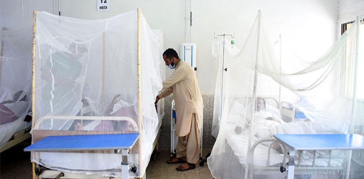ڈینگی نے لاہور میں پنجے گاڑ لئے، نئے کیسز میں اضافہ