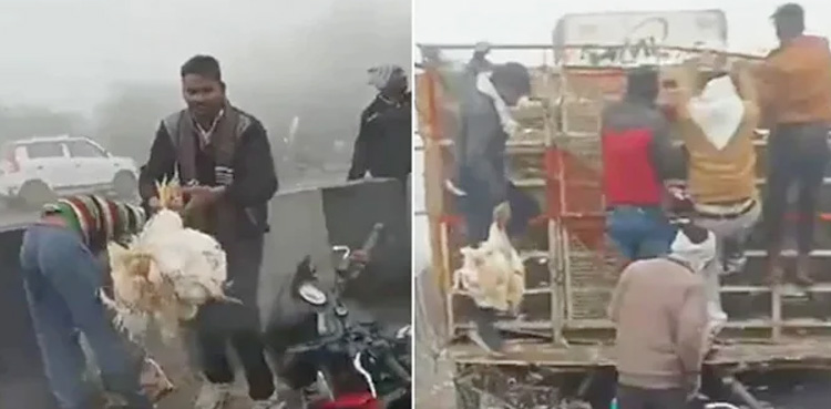 مرغی کے ٹرک کو حادثہ، شہری تمام مرغیاں لے اُڑے