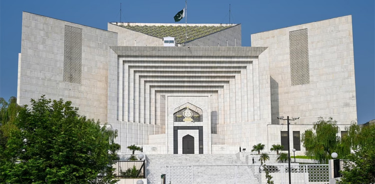 بیرسٹر علی ظفر نے پی ٹی آئی انٹراپارٹی انتخابات سے متعلق پولنگ مٹیریل عدالت میں  پیش کردیا