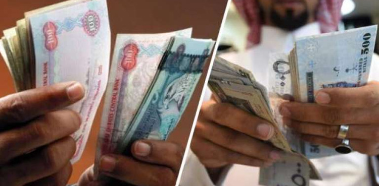 سعودی ریال اور اماراتی درہم کی آج کیا قیمت ہے؟