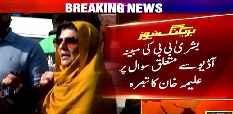بشریٰ بی بی کی مبینہ آڈیو سے متعلق سوال پر علیمہ خان کا تبصرہ