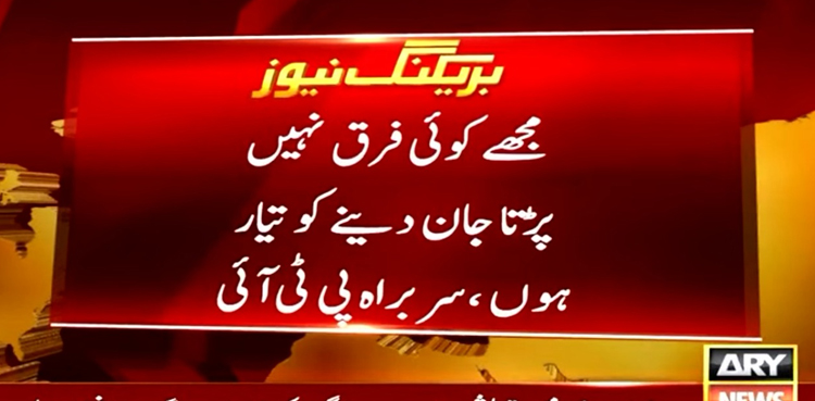 سربراہ پی ٹی آئی