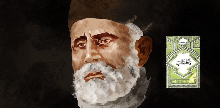 الطاف حسین حالی: اردو زبان و ادب کا محسن