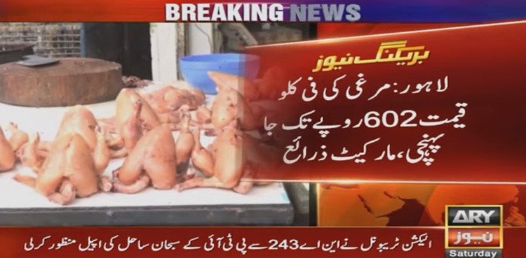 مرغی کے گوشت، انڈوں کی قیمت تاریخی بلندیوں پر جاپہنچی، انتظامیہ بے بس