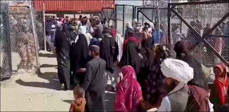 ویڈیو رپورٹ: 4 لاکھ 68 ہزار 151 غیر قانونی افغان باشندوں کی وطن واپسی