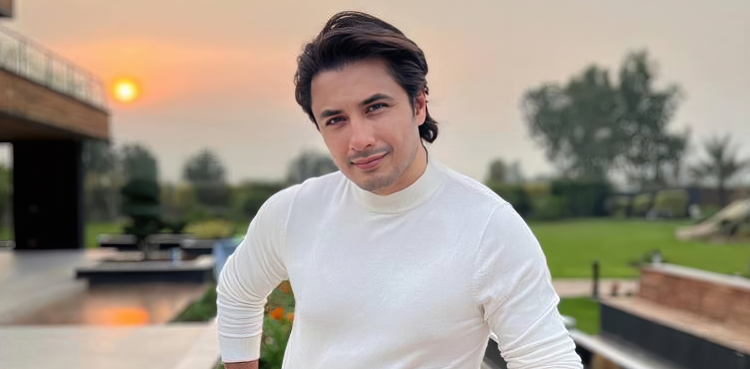 ’جنگ تباہی ہے‘ علی ظفر نے امن کا مطالبہ کردیا