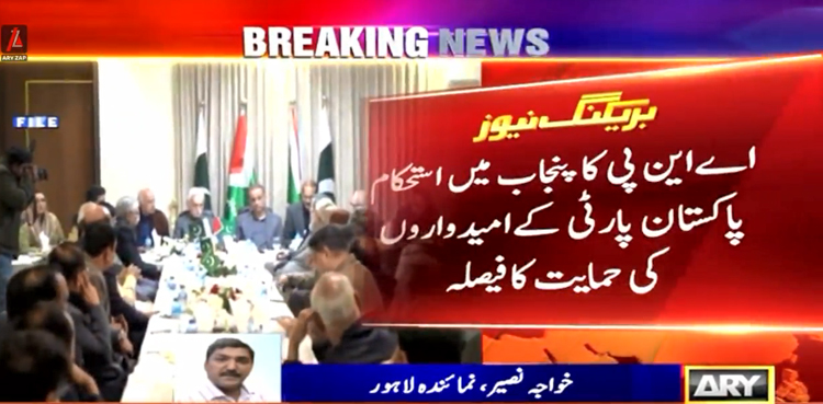 الیکشن 2024 پاکستان : اے این پی  کا پنجاب میں استحکام پاکستان پارٹی کے امیدواروں کی حمایت کا اعلان