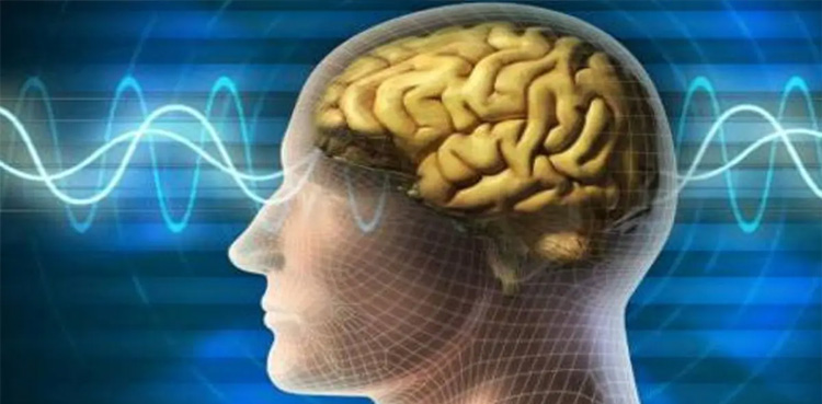 40 سال بعد انسانی دماغ میں کیا تبدیلیاں رونما ہوتی ہیں؟