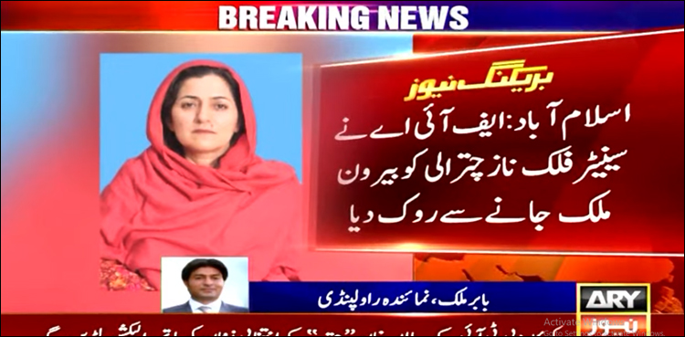 ایف آئی اے نے سینیٹر فلک ناز چترالی کو بیرون ملک جانے سے روک دیا