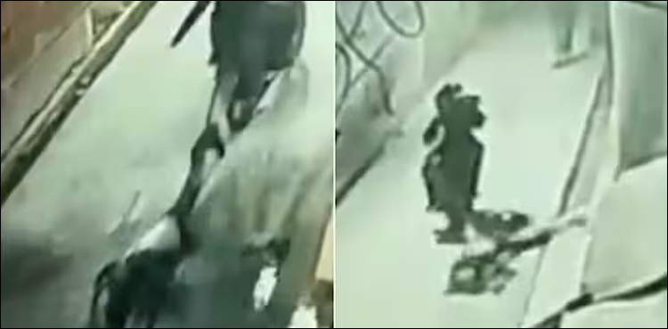 مہندی حسن کے قتل کی دل دہلا دینے والی ویڈیوز نے سوشل میڈیا کو ہلا کر رکھ دیا