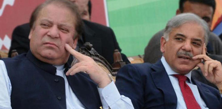 الیکشن 2024 پاکستان : نواز شریف اور شہباز شریف کے کاغذات نامزدگی منظوری کیخلاف درخواست دائر
