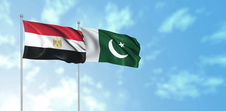 پاکستان کی مصر کو تجارتی معاہدے کی پیشکش